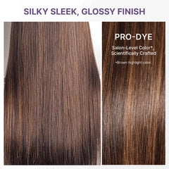 PreMax Wigs - Chestnut Brown with Honey Blonde Highlights Silky Straight 13x4 Frontal Lace Glueless Long Wig Pre-Cut Lace